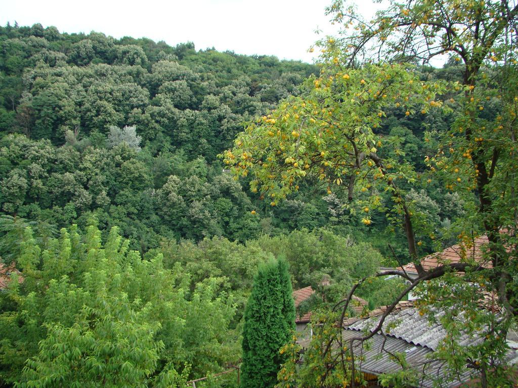 Guest House Selin Veliko Tŭrnovo Exterior foto